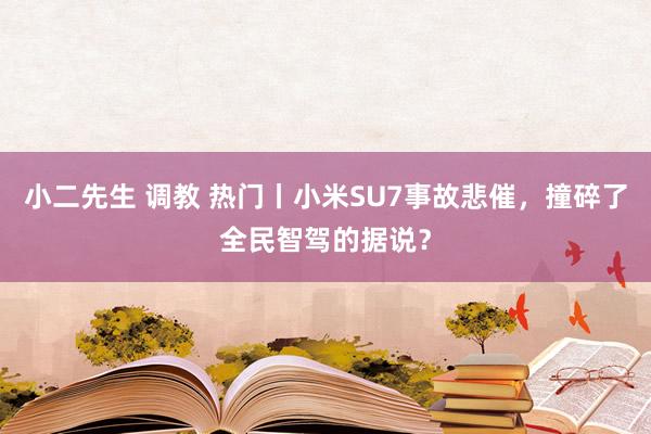 小二先生 调教 热门丨小米SU7事故悲催，撞碎了全民智驾的据说？