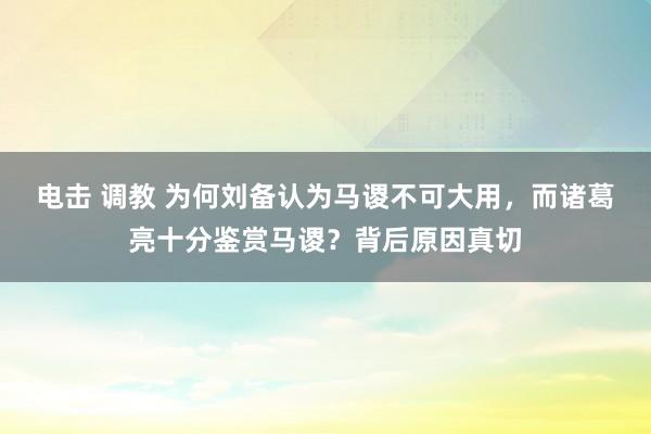 电击 调教 为何刘备认为马谡不可大用，而诸葛亮十分鉴赏马谡？背后原因真切