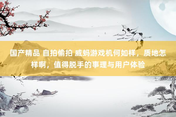 国产精品 自拍偷拍 威蚂游戏机何如样，质地怎样啊，值得脱手的事理与用户体验