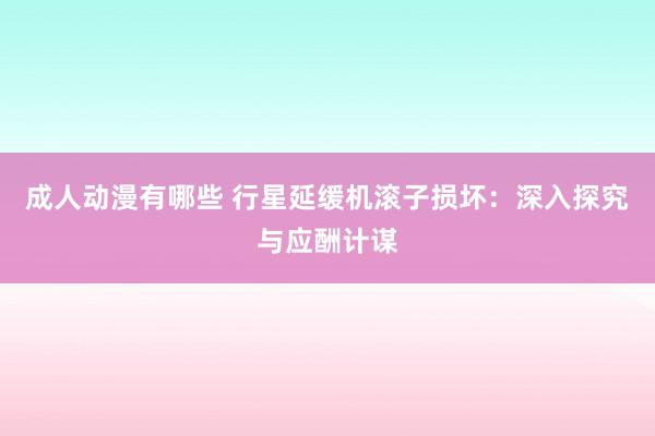 成人动漫有哪些 行星延缓机滚子损坏：深入探究与应酬计谋