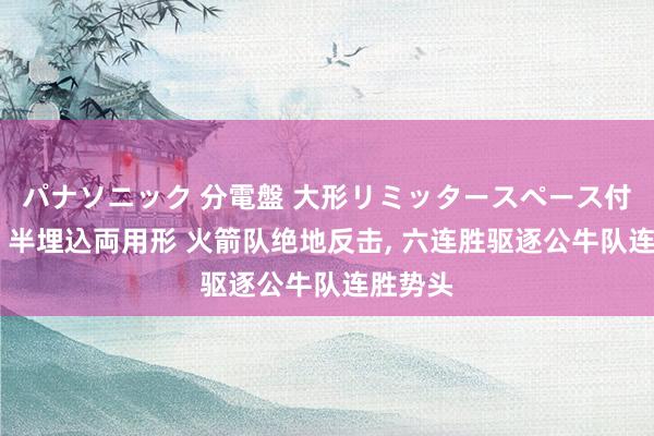 パナソニック 分電盤 大形リミッタースペース付 露出・半埋込両用形 火箭队绝地反击， 六连胜驱逐公牛队连胜势头