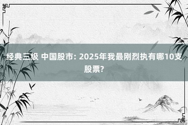 经典三级 中国股市: 2025年我最刚烈执有哪10支股票?