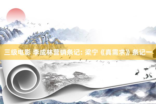 三级电影 李成林营销条记: 梁宁《真需求》条记一