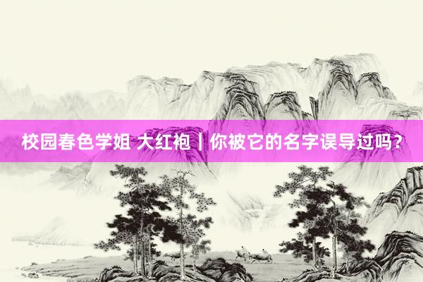校园春色学姐 大红袍｜你被它的名字误导过吗？