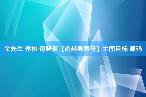 金先生 偷拍 邃晓信【逾越寻黑马】主图目标 源码