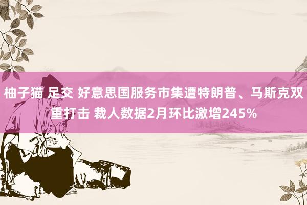柚子猫 足交 好意思国服务市集遭特朗普、马斯克双重打击 裁人数据2月环比激增245%