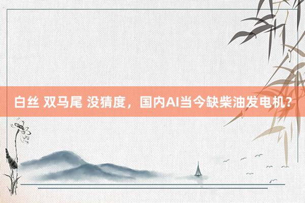 白丝 双马尾 没猜度，国内AI当今缺柴油发电机？